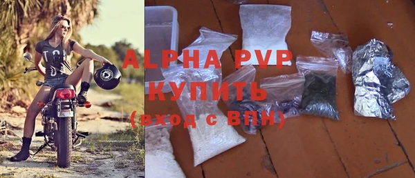 шишки Абаза