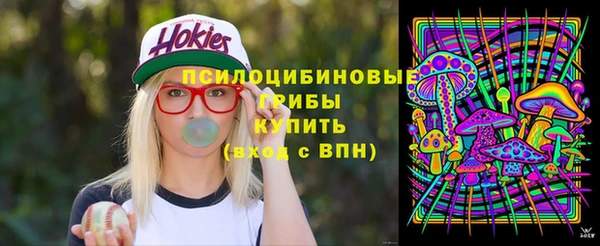 a pvp Алзамай