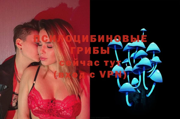 ALPHA-PVP Алексин