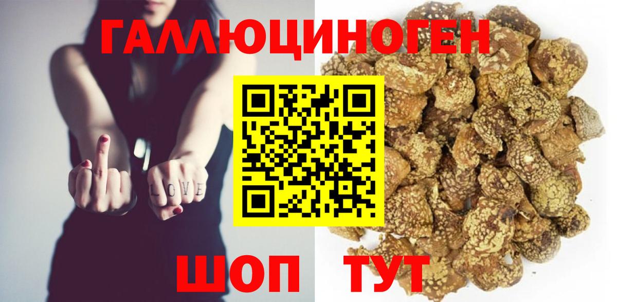 Галлюциногенные грибы ЛСД  цены   Вход с VPN  Домодедово  Псилоцибиновые грибы Psilocybine cubensis 